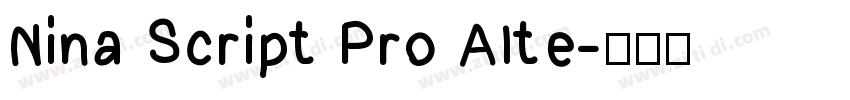 Nina Script Pro Alte字体转换